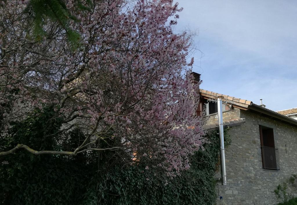 O Zierzo Vila Jaca Exterior foto